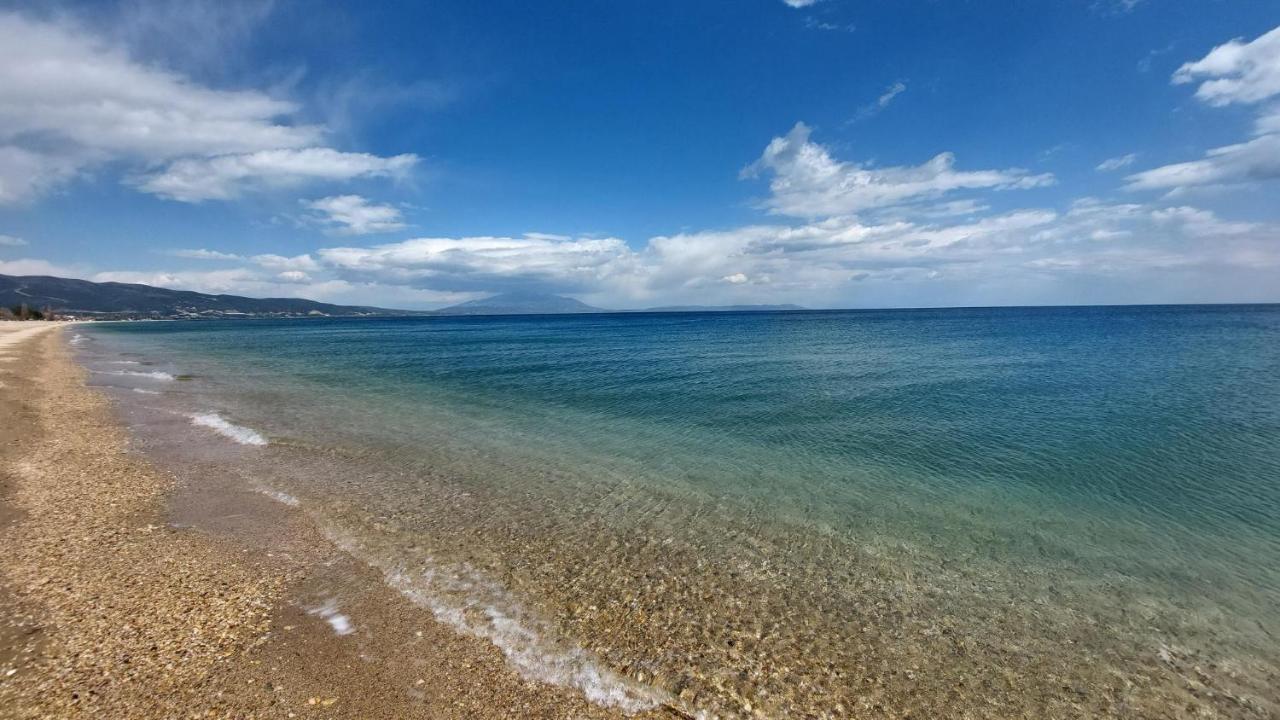 Villa Sevi Vrasná Екстериор снимка