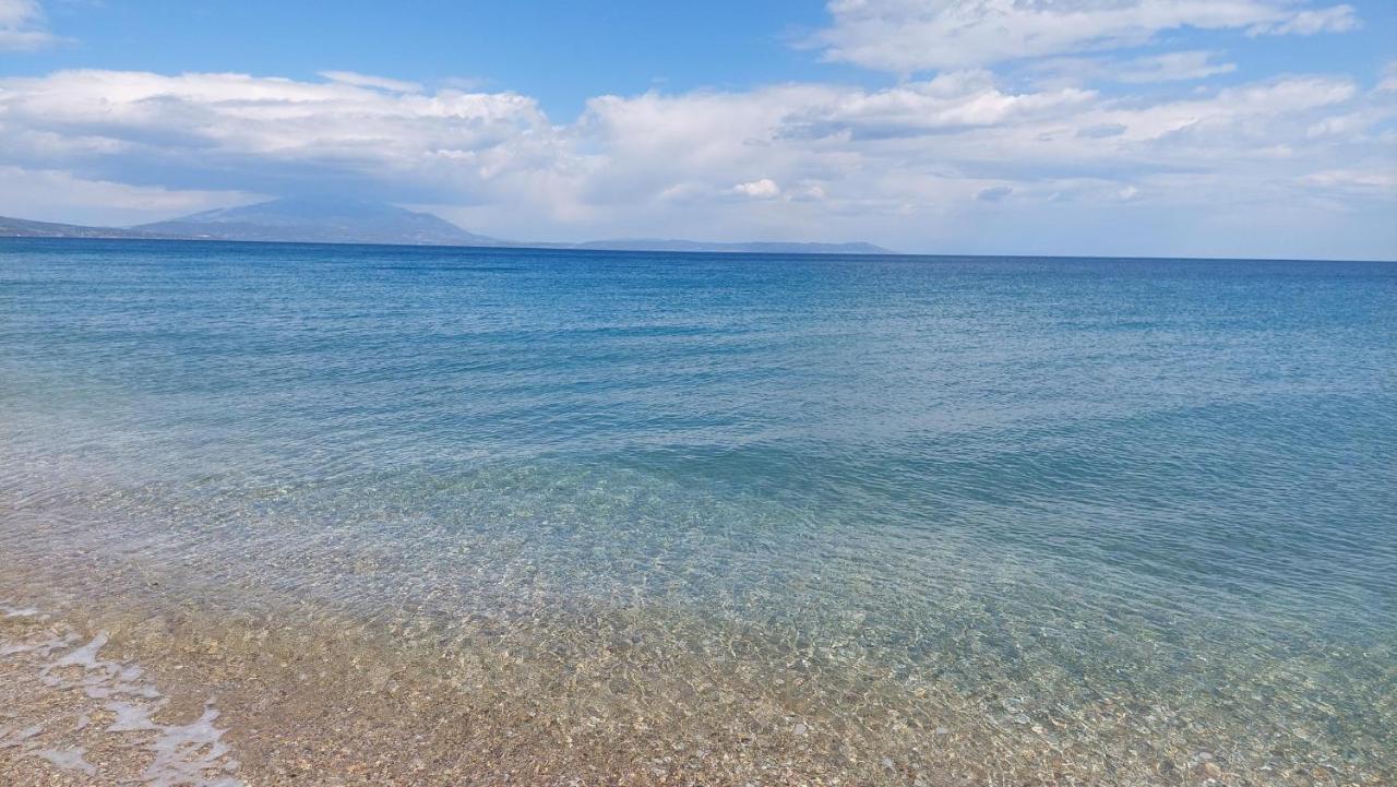 Villa Sevi Vrasná Екстериор снимка