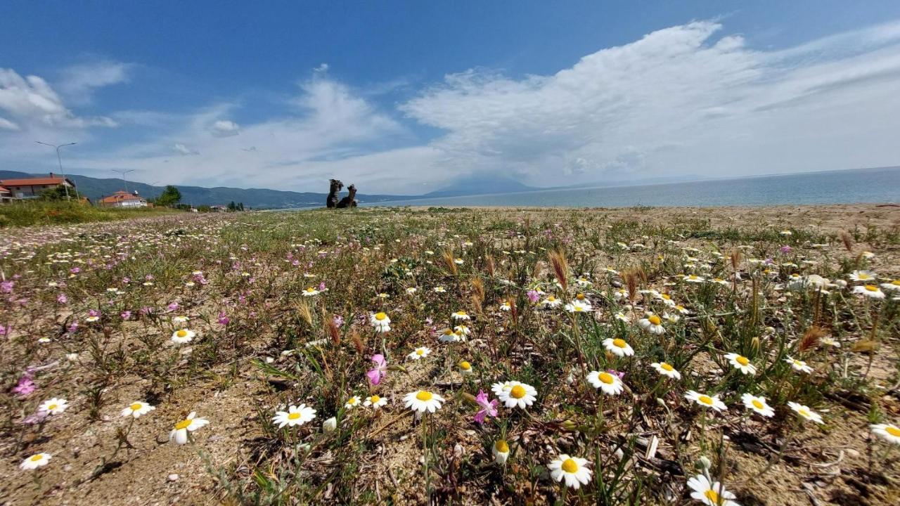 Villa Sevi Vrasná Екстериор снимка