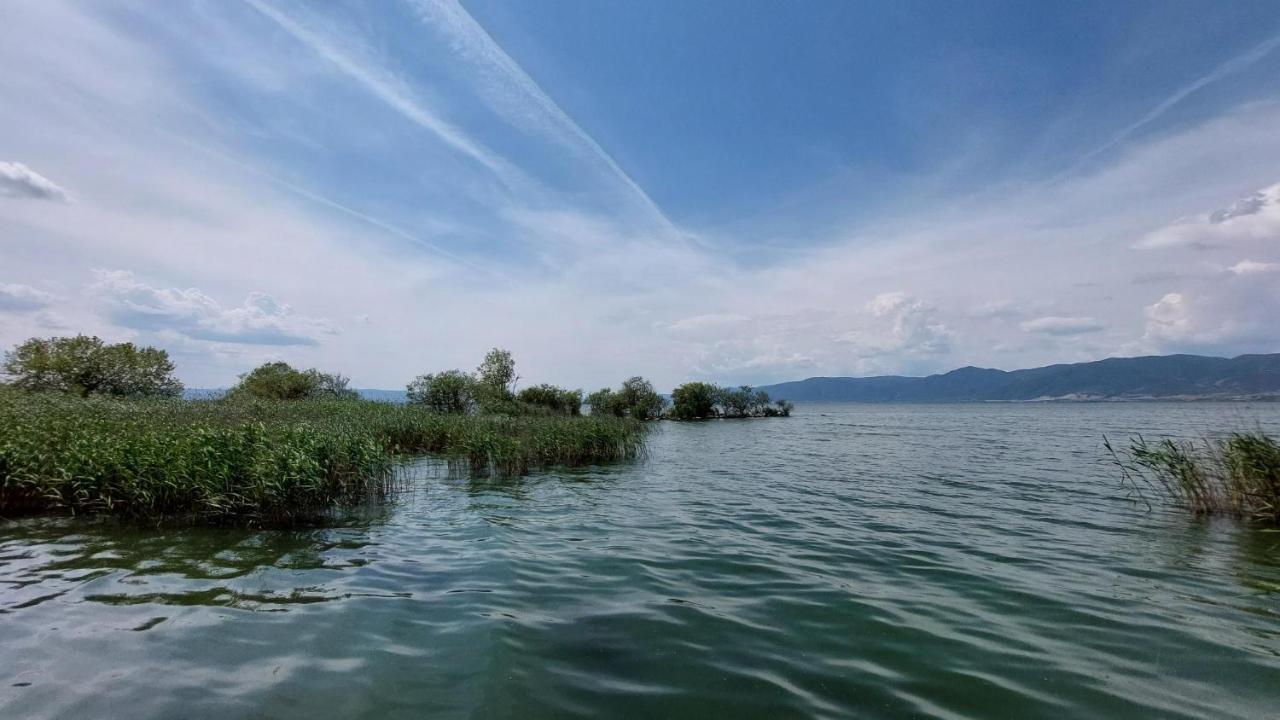 Villa Sevi Vrasná Екстериор снимка